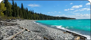 A rocky, pebble beach along a coastline with strikingly turquoise-colored ocean water and a dense line of dark green forest in the background under a blue sky.