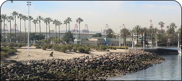 Long Beach Island view with palm trees, rocks and other local views visible in bright sunlight.