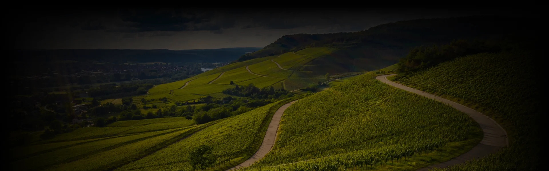 Scenic view of sunlit vineyards and winding country roads, captured from a gentle hillside angle. San Francisco to Napa Car Service journey visualized through landscape and vineyard terrain.